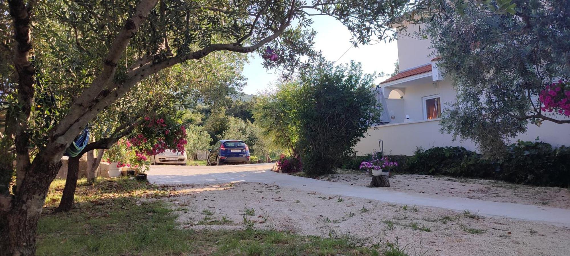 Apartments Villa Mihaela Banj Exterior photo